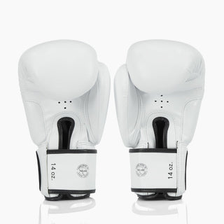 Guantoni Fairtex Amateur BGV27-Combat Arena