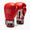 Guantes de boxeo Leone Iconic GN208