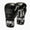 Guantes de boxeo Leone Iconic GN208