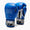 Guantes de boxeo Leone Iconic GN208