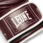 Guantes de boxeo Leone Shock X GN047X