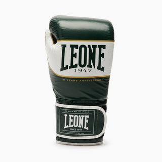 Guantes de boxeo Leone Shock X GN047X