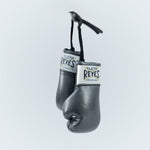 Kit Cleto Reyes Mini Sacco e Guanti-Combat Arena